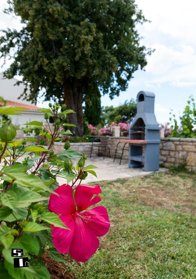 Charming Stone Cottage By The Sea Umag Zewnętrze zdjęcie